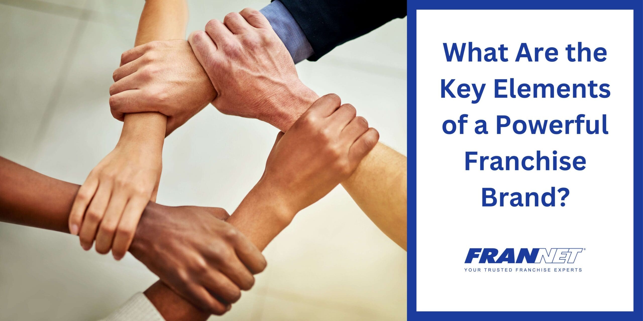 Elements of a strong franchise banner image