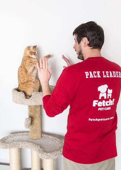 Fetch Pet Care Photo 2
