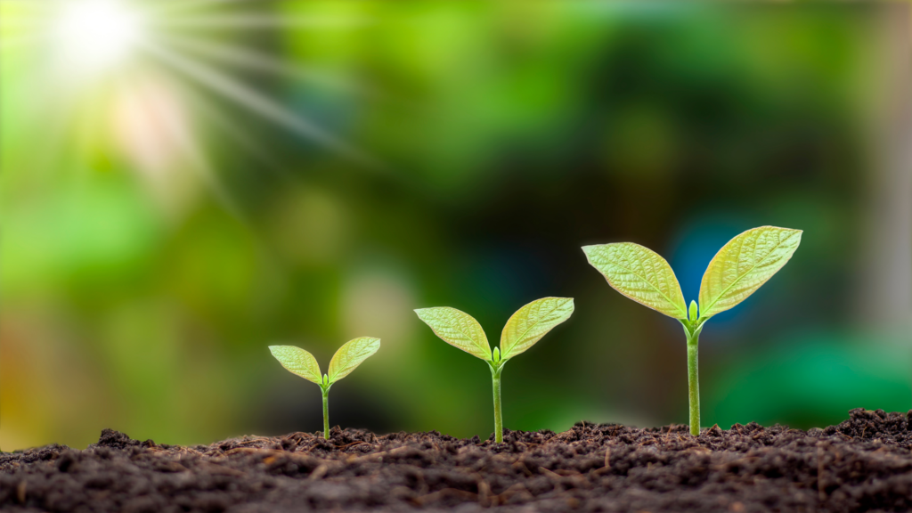 Franchise Growth 2026: A Look at the IFA’s Annual Economic Outlook