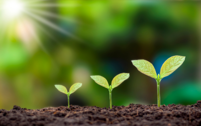 Franchise Growth 2026: A Look at the IFA’s Annual Economic Outlook