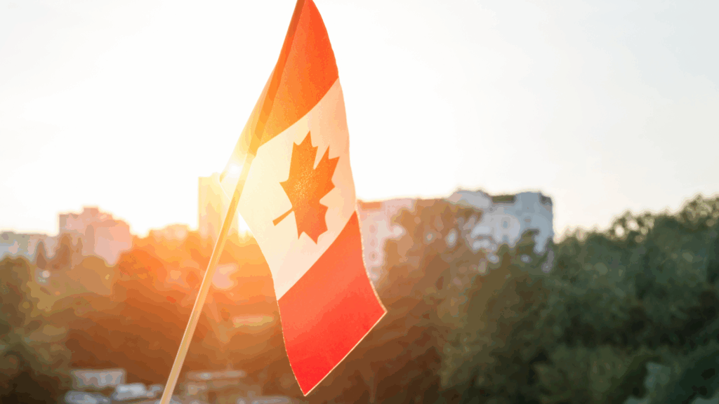 Buying a Franchise in Canada – What You Need to Know