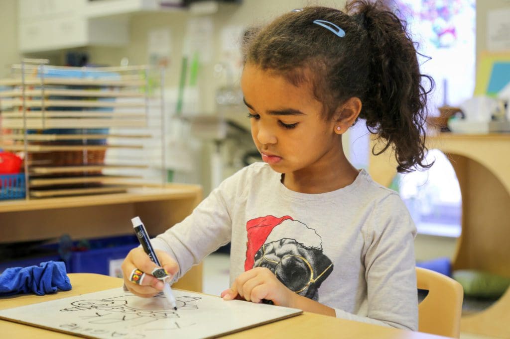 Celebree School franchise