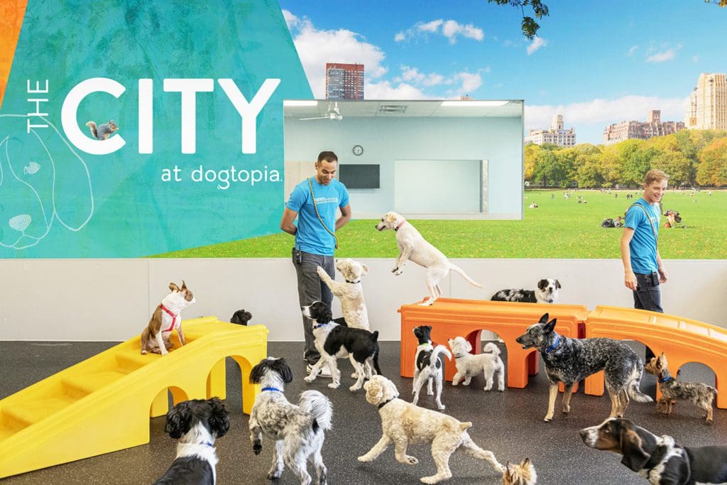 Dogtopia franchise