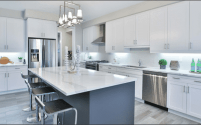 Franchise Spotlight: Kitchen Tune-Up