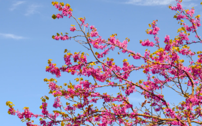How to Spring Into Action and Become Your Own Boss