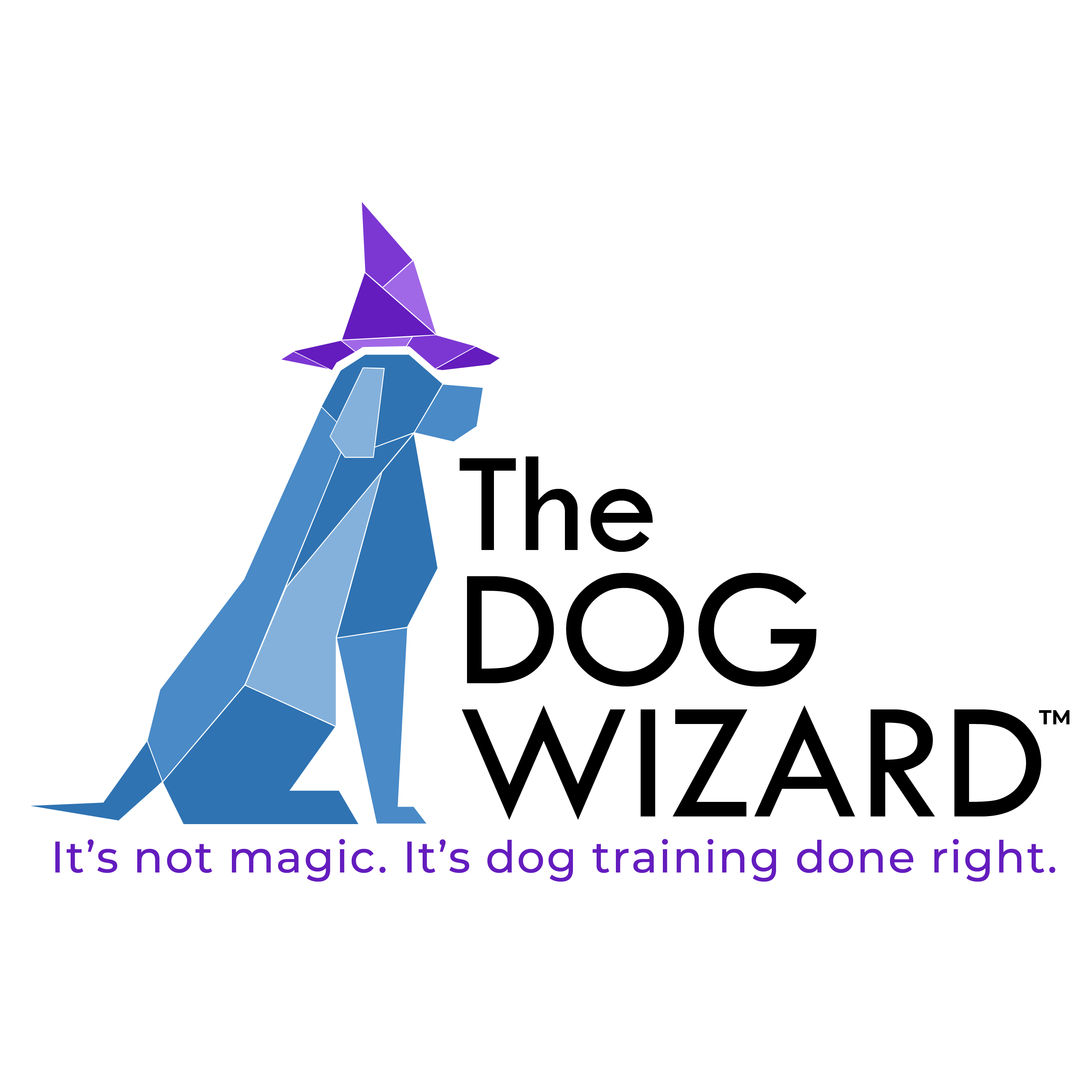FranNet Verified Brand - The Dog Wizard Logo