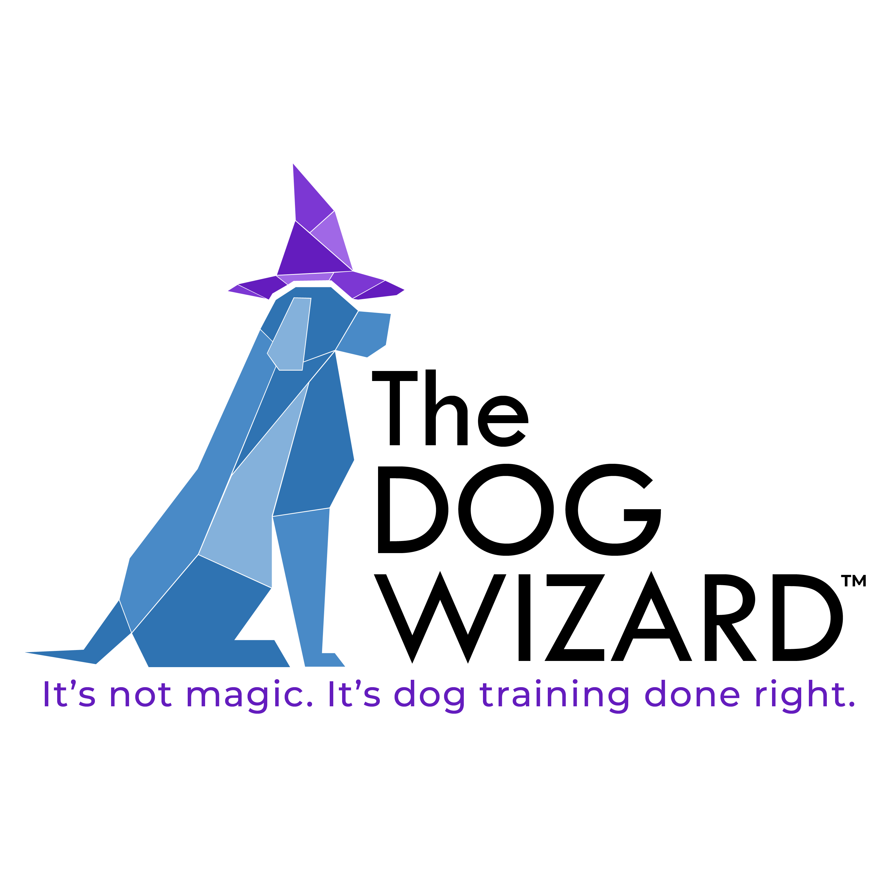 The Dog Wizard Logo