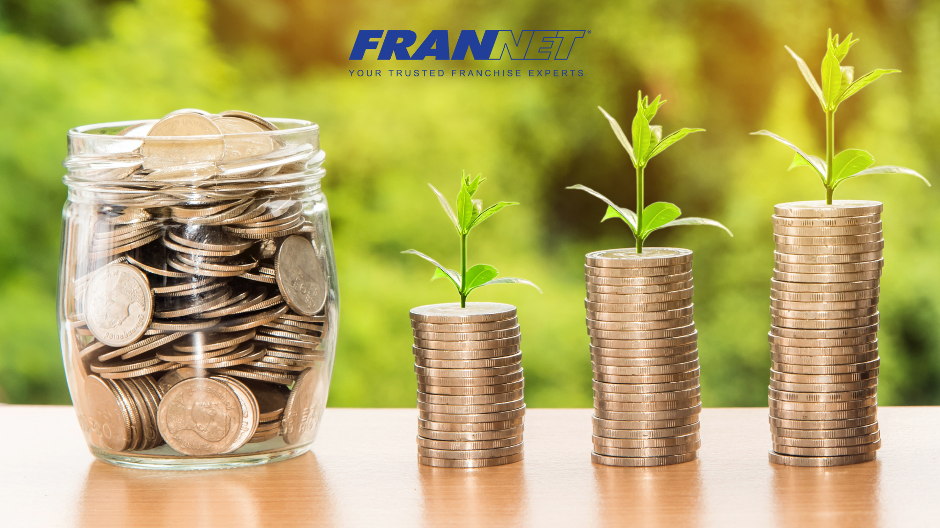 Stacks of coins with leaves growing out of them