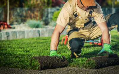 The Top 10 Outdoor Franchise Categories: Market Trends & Statistics