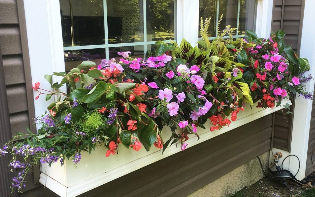 WOW Windowboxes franchise
