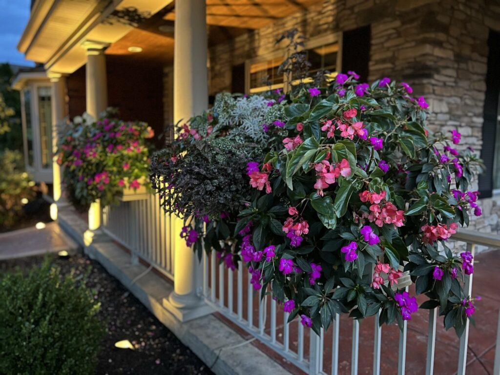 WOW Windowboxes franchise