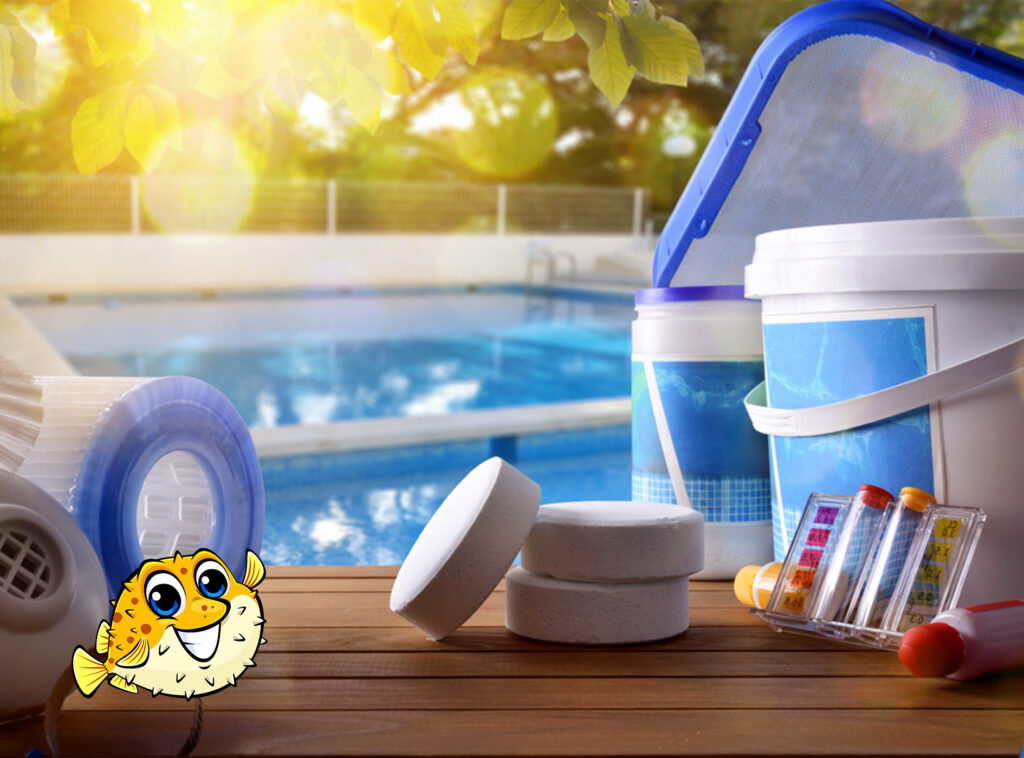 Puddle Pool Services franchise
