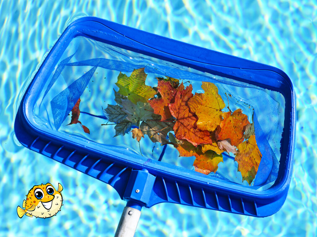 Puddle Pool Services franchise