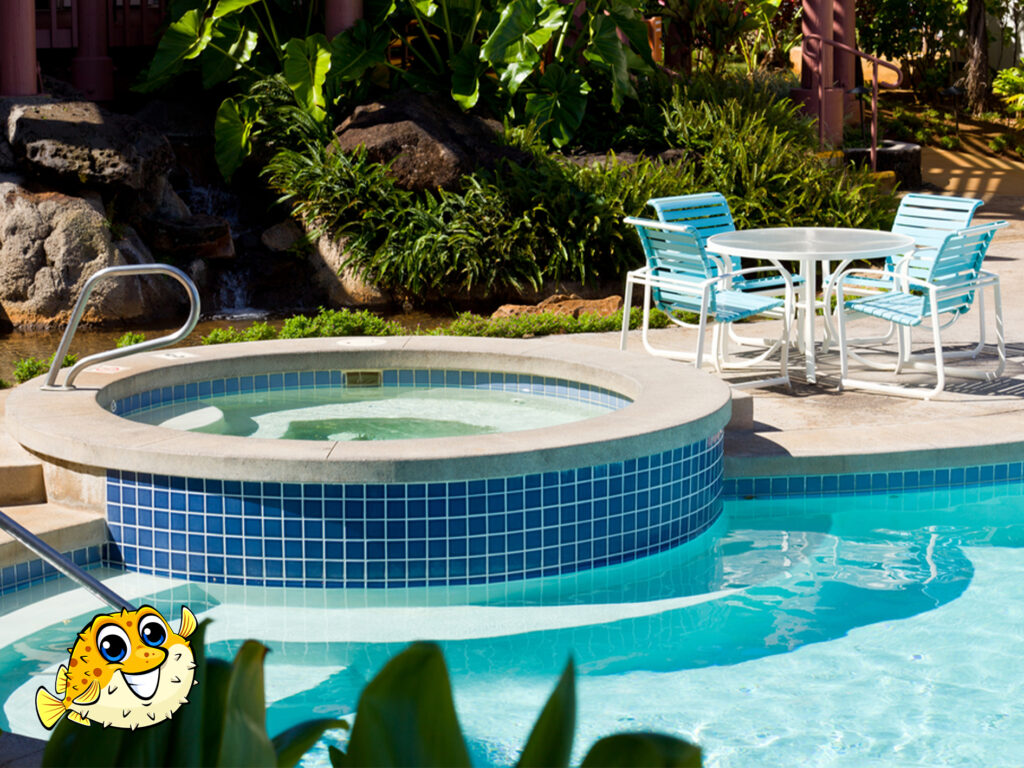 Puddle Pool Services franchise