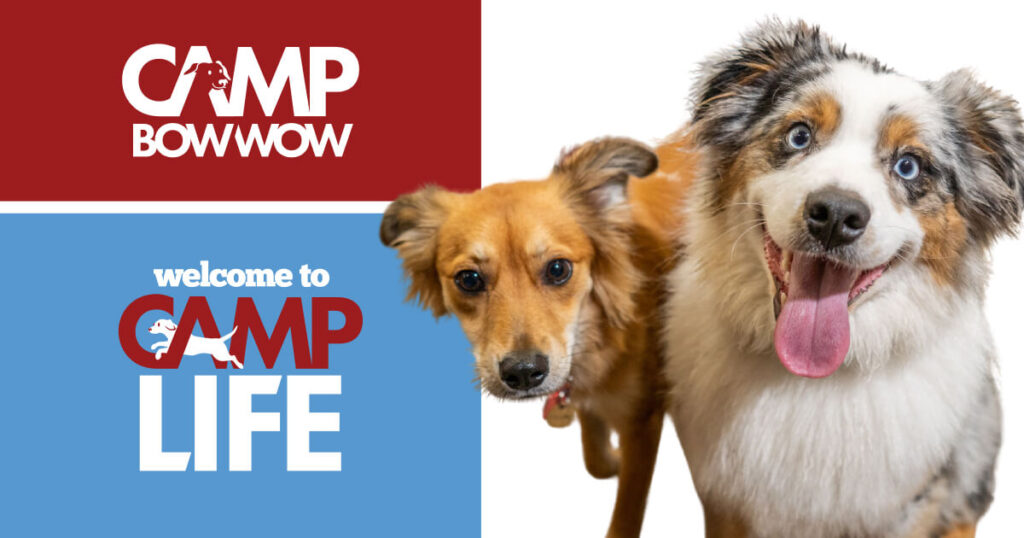 Camp Bow Wow franchise