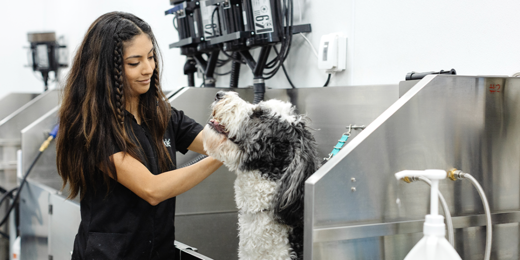 Sparkle Grooming Co. franchise