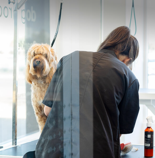 Sparkle Grooming Co. franchise