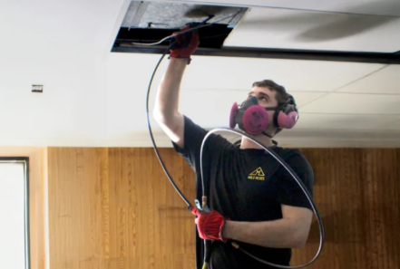 Mold Medics franchise