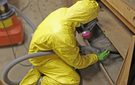 Mold Medics franchise