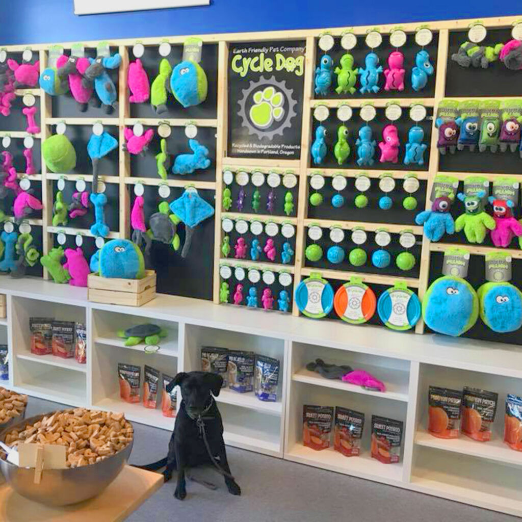 Splash and Dash Groomerie & Boutique franchise