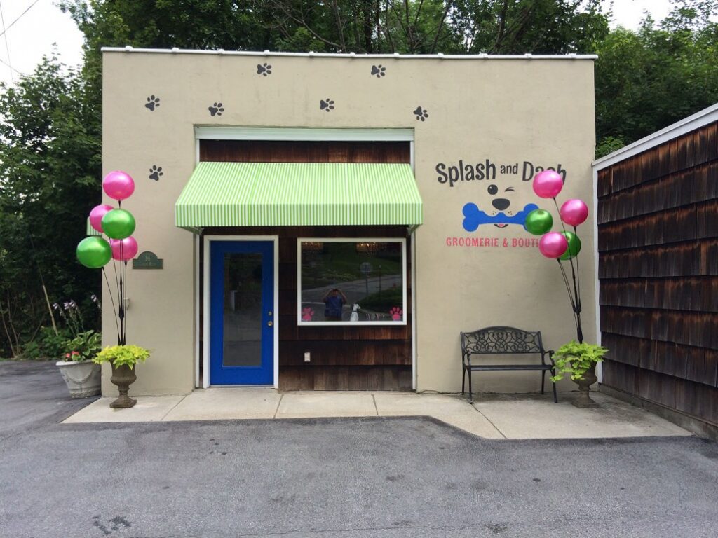 Splash and Dash Groomerie & Boutique franchise